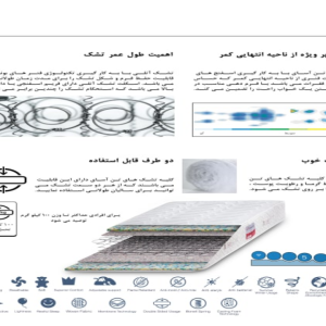 تشک آتلی